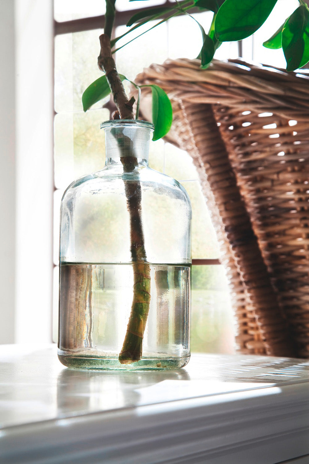 Halifax Lowline ETU 120cm - White