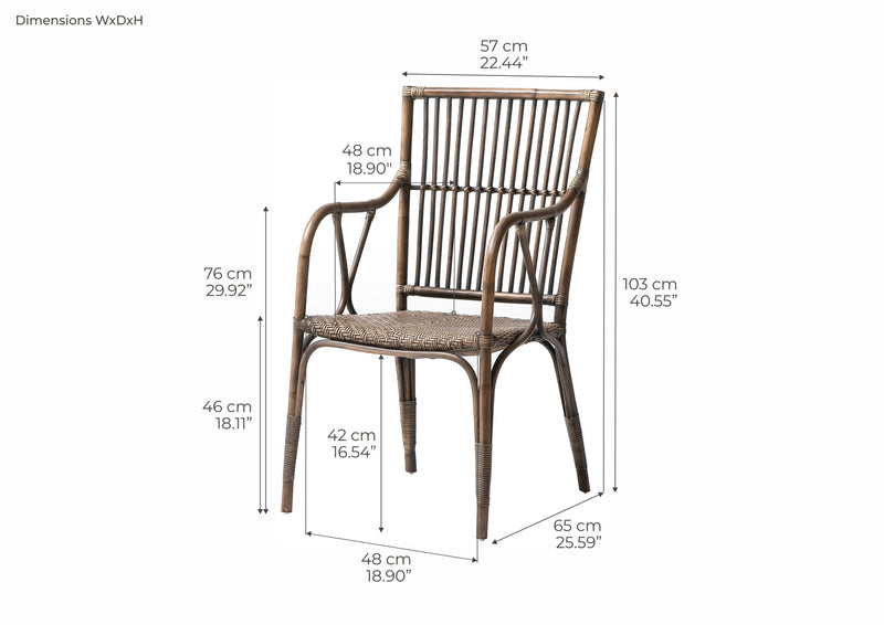 Duke Rattan Arm Chair (Set of 2)